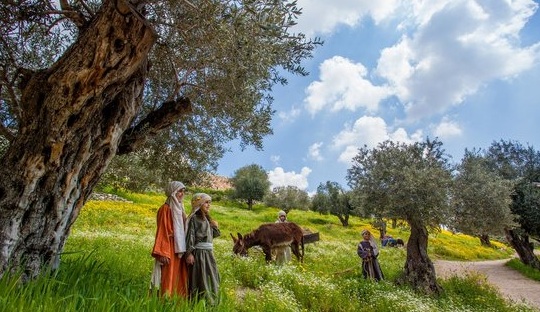 מלון רמדה -כפר נצרת